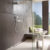 Hansgrohe RainSelect Zenth